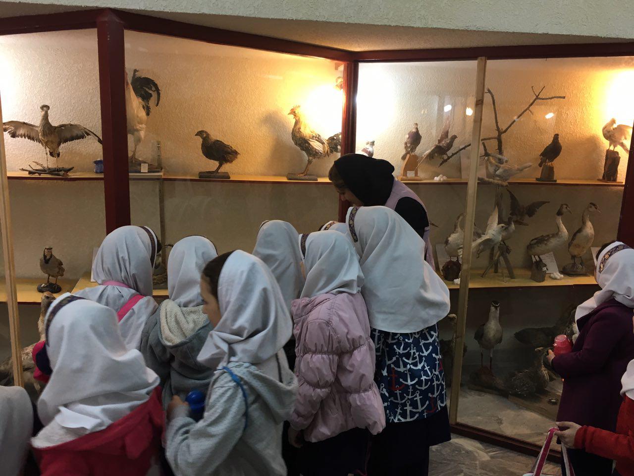 بازدید دانش آموزان از موزه جانوری